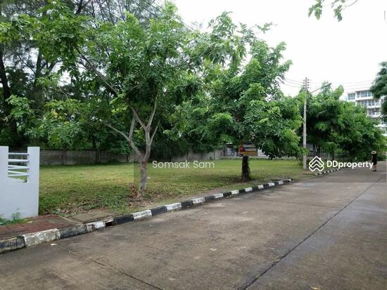 ขายที่ดินเปล่า  ถนนเพชรเกษม ชะอำ จ.เพชรบุรี — photo 2 of 3