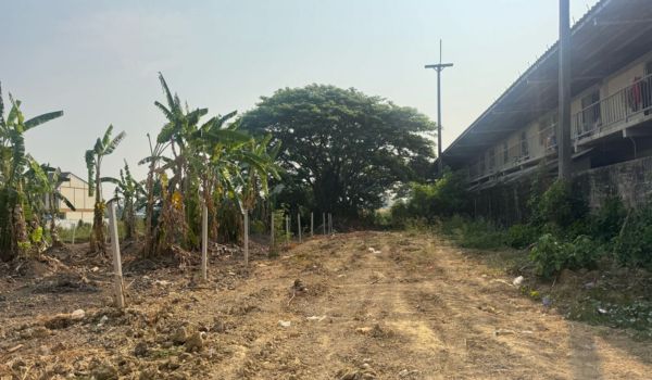 ขายที่ดิน  ใกล้โรงเรียน ภปร. ตรงข้ามโลตัส นครปฐม (302 ตรว.) — photo 4 of 5