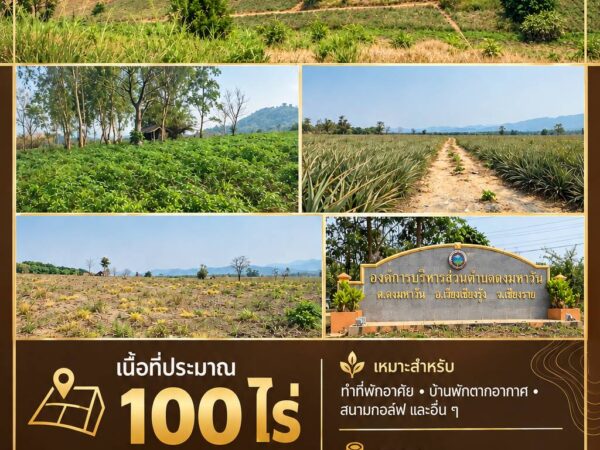 ขายที่ดินเปล่า  วิวสวย อยู่บนเนินเขา  จ.เชียงราย