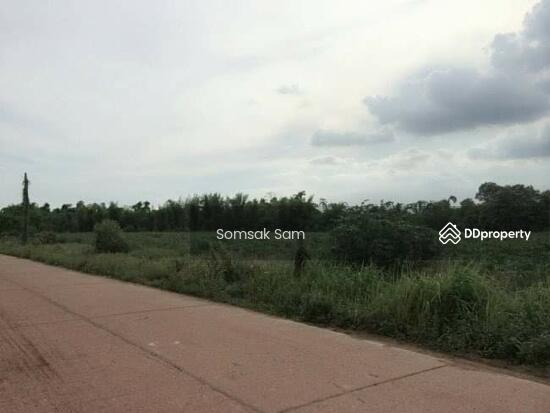 ขายที่ดิน ต.หนองกี่ อ.กบินทร์บุรี จ.ปราจีนบุรี