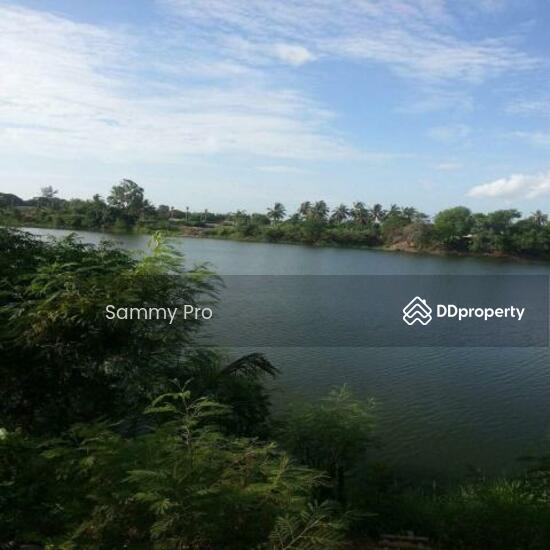 ขายที่ดินเปล่า (ห้วยหมอนทอง) อ.กำแพงแสน จ.นครปฐม — photo 3 of 4