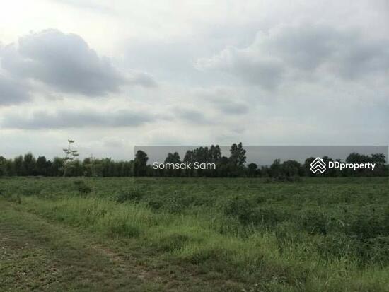 ขายที่ดิน ต.หนองกี่ อ.กบินทร์บุรี จ.ปราจีนบุรี — photo 2 of 3
