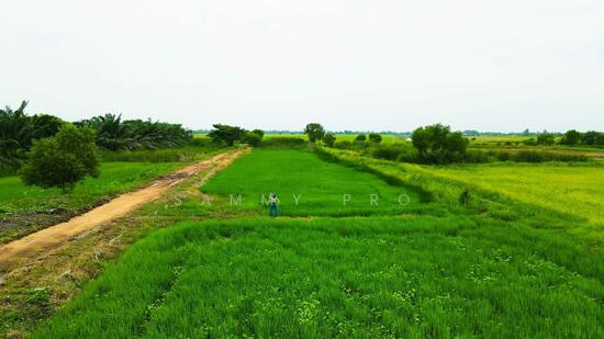 ขายที่ดินเปล่าแบ่งขาย ล็อคละ 100-150 ตรว. — photo 2 of 9