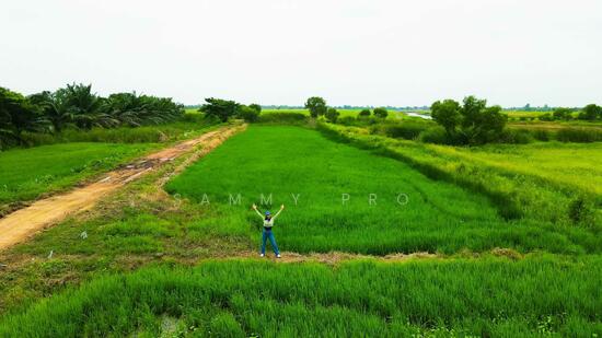 ขายที่ดินเปล่าแบ่งขาย ล็อคละ 100-150 ตรว. — photo 4 of 9