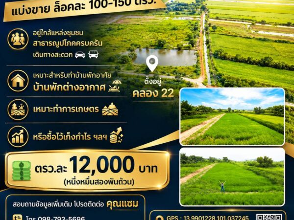 ขายที่ดินเปล่าแบ่งขาย ล็อคละ 100-150 ตรว.